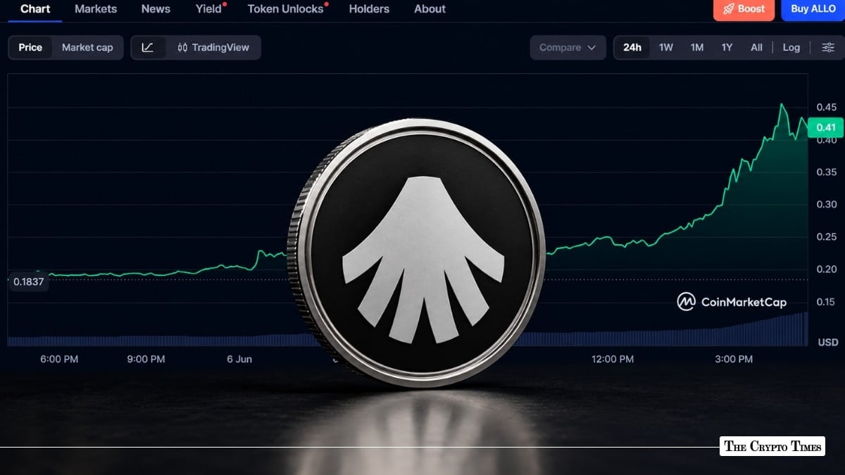 The to Profitable Decentralized Inference Markets